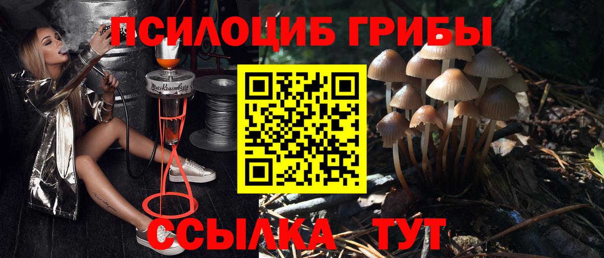 Мефедрон   Конопля  Малгобек  Вход с VPN  Кокаин  Где продают наркотики?  ГАШ  Марихуана 